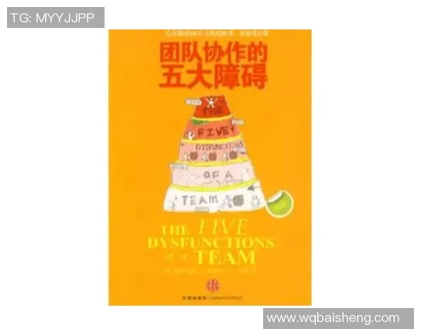 乒乓球焦点：杭州乒乓球队的团队协作探讨